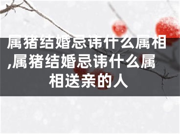属猪结婚忌讳什么属相,属猪结婚忌讳什么属相送亲的人