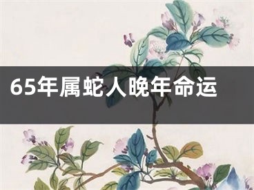 65年属蛇人晚年命运