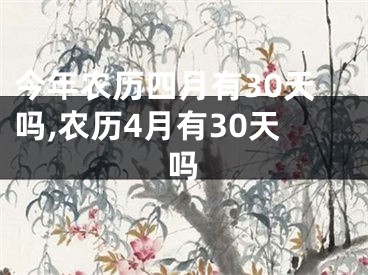 今年农历四月有30天吗,农历4月有30天吗