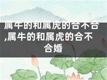 属牛的和属虎的合不合,属牛的和属虎的合不合婚