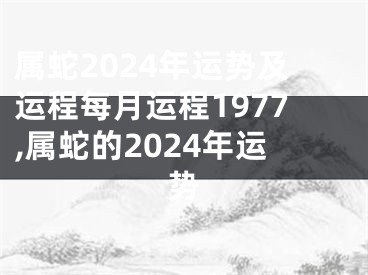 属蛇2024年运势及运程每月运程1977,属蛇的2024年运势
