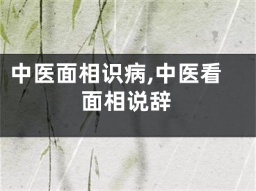 中医面相识病,中医看面相说辞