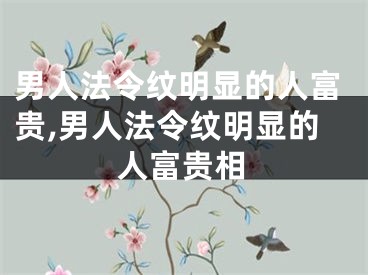 男人法令纹明显的人富贵,男人法令纹明显的人富贵相