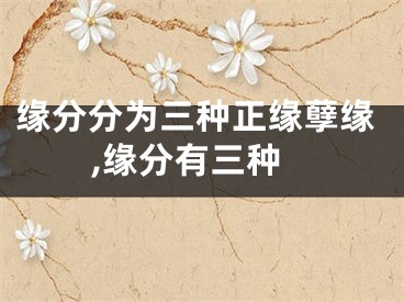 缘分分为三种正缘孽缘,缘分有三种