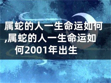 属蛇的人一生命运如何,属蛇的人一生命运如何2001年出生