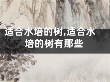 适合水培的树,适合水培的树有那些