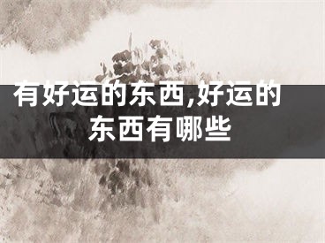 有好运的东西,好运的东西有哪些