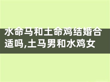 水命马和土命鸡结婚合适吗,土马男和水鸡女