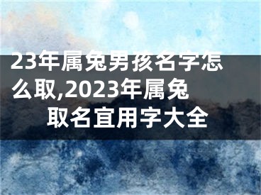 23年属兔男孩名字怎么取,2023年属兔取名宜用字大全