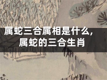 属蛇三合属相是什么,属蛇的三合生肖