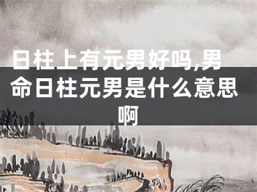 日柱上有元男好吗,男命日柱元男是什么意思啊
