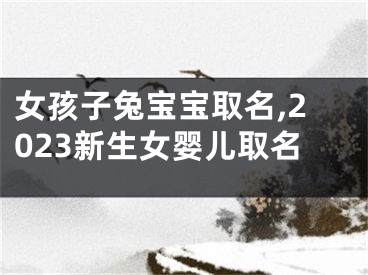 女孩子兔宝宝取名,2023新生女婴儿取名