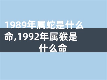1989年属蛇是什么命,1992年属猴是什么命