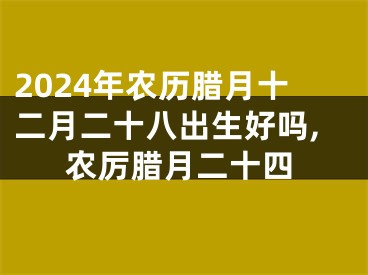 2024年农历腊月十二月二十八出生好吗,农厉腊月二十四