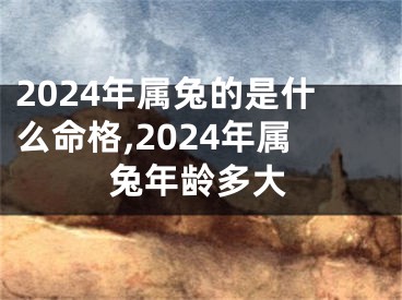 2024年属兔的是什么命格,2024年属兔年龄多大