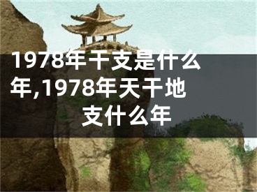 1978年干支是什么年,1978年天干地支什么年