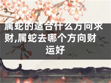属蛇的适合什么方向求财,属蛇去哪个方向财运好