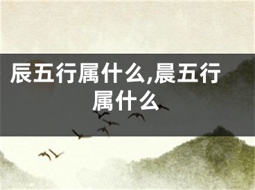 辰五行属什么,晨五行属什么