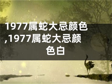 1977属蛇大忌颜色,1977属蛇大忌颜色白