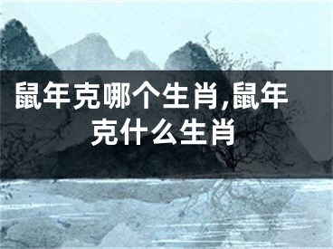 鼠年克哪个生肖,鼠年克什么生肖