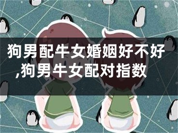 狗男配牛女婚姻好不好,狗男牛女配对指数