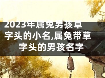 2023年属兔男孩草字头的小名,属兔带草字头的男孩名字