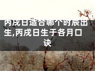 丙戌日适合哪个时辰出生,丙戌日生于各月口诀