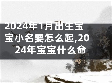 2024年1月出生宝宝小名要怎么起,2024年宝宝什么命