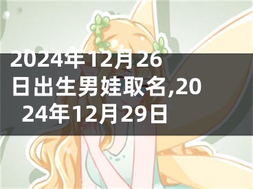 2024年12月26日出生男娃取名,2024年12月29日