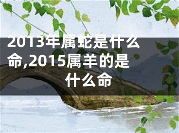 2013年属蛇是什么命,2015属羊的是什么命