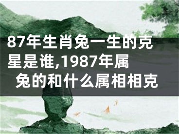 87年生肖兔一生的克星是谁,1987年属兔的和什么属相相克