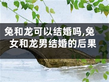 兔和龙可以结婚吗,兔女和龙男结婚的后果