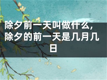除夕前一天叫做什么,除夕的前一天是几月几日