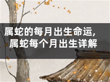 属蛇的每月出生命运,属蛇每个月出生详解