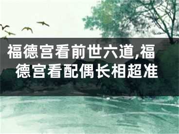 福德宫看前世六道,福德宫看配偶长相超准