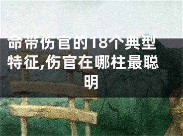 命带伤官的18个典型特征,伤官在哪柱最聪明