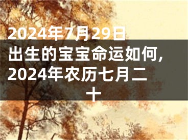 2024年7月29日出生的宝宝命运如何,2024年农历七月二十