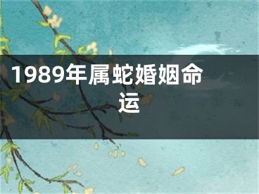1989年属蛇婚姻命运