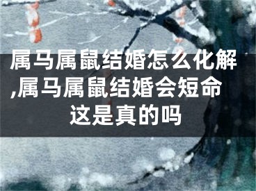 属马属鼠结婚怎么化解,属马属鼠结婚会短命这是真的吗
