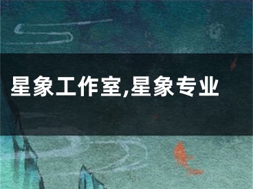 星象工作室,星象专业