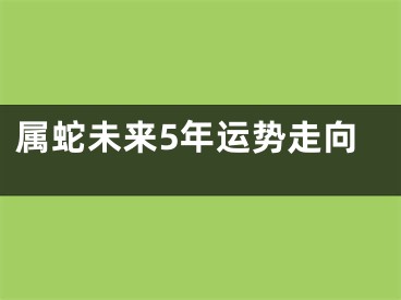 属蛇未来5年运势走向