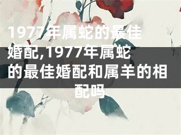 1977年属蛇的最佳婚配,1977年属蛇的最佳婚配和属羊的相配吗