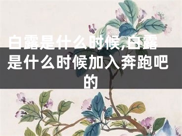白露是什么时候,白露是什么时候加入奔跑吧的