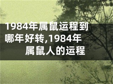 1984年属鼠运程到哪年好转,1984年属鼠人的运程