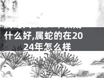 属蛇人2024年佩戴什么好,属蛇的在2024年怎么样