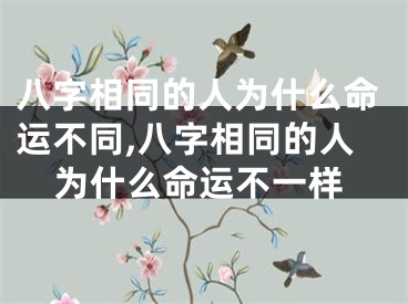 八字相同的人为什么命运不同,八字相同的人为什么命运不一样