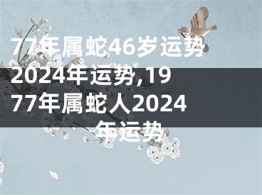 77年属蛇46岁运势2024年运势,1977年属蛇人2024年运势