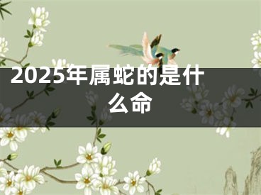 2025年属蛇的是什么命
