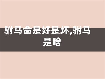 驸马命是好是坏,驸马是啥
