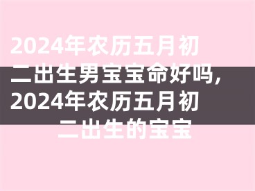 2024年农历五月初二出生男宝宝命好吗,2024年农历五月初二出生的宝宝